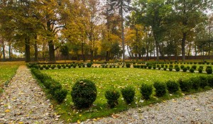 park ziemiełowice